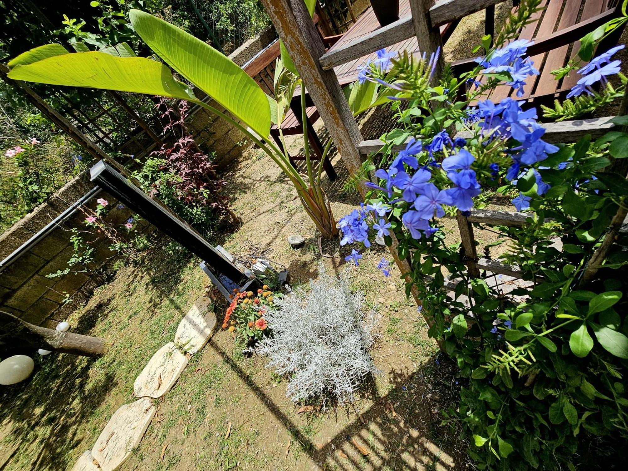Prestige Casa Vacanze Catanzaro Luaran gambar